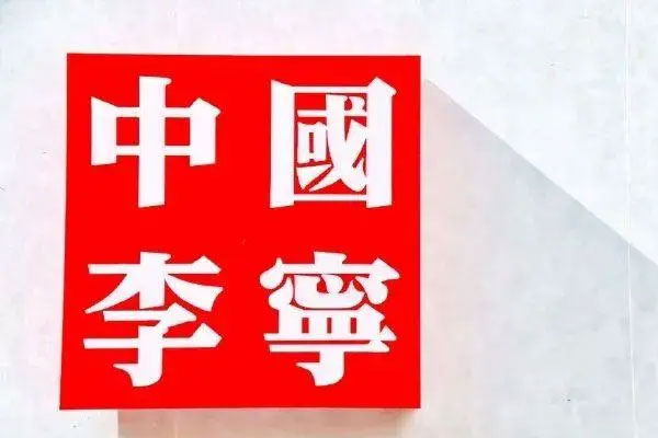 李宁集团上半年实现营收124.09亿，同比增长8.8%