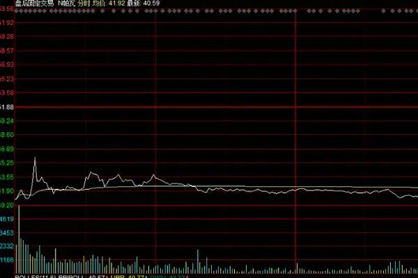 N帕瓦开盘破发，开盘跌幅即超过20