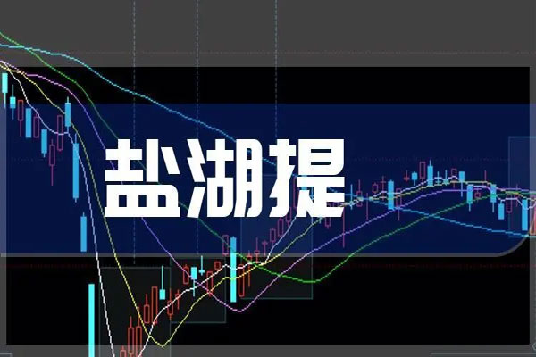盐湖提锂概念股集体爆发，久吾高科、西藏城投等涨停