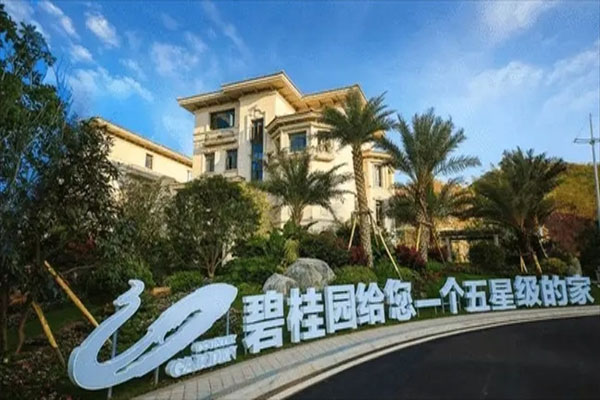 碧桂园订立配售协议，拟配售14.63亿股