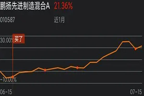 鹏扬先进制造混合披露2022年年报，净值下跌超30%