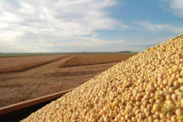 中国大豆进口量创新新的记录，首次突破1亿吨的“关口”
